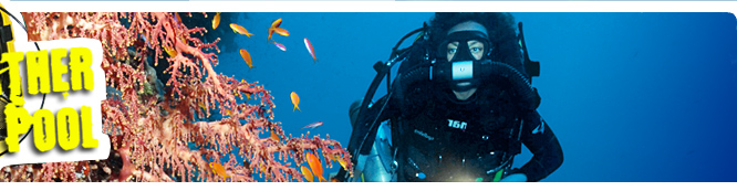 Zur&uuml;ck zur Startseite - Rebreather Pool
