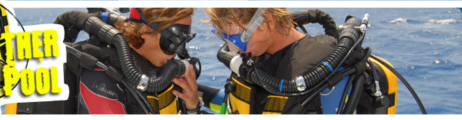 Zurück zur Startseite - Rebreather Pool