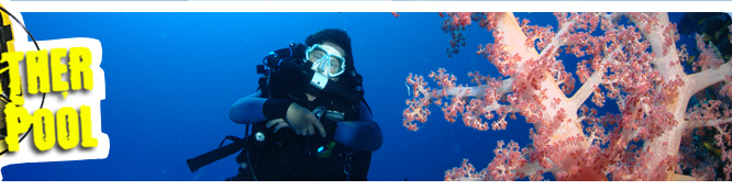 Zurück zur Startseite - Rebreather Pool